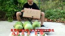 搞笑娱乐吃瓜视频大全集,带你领略欢乐无限